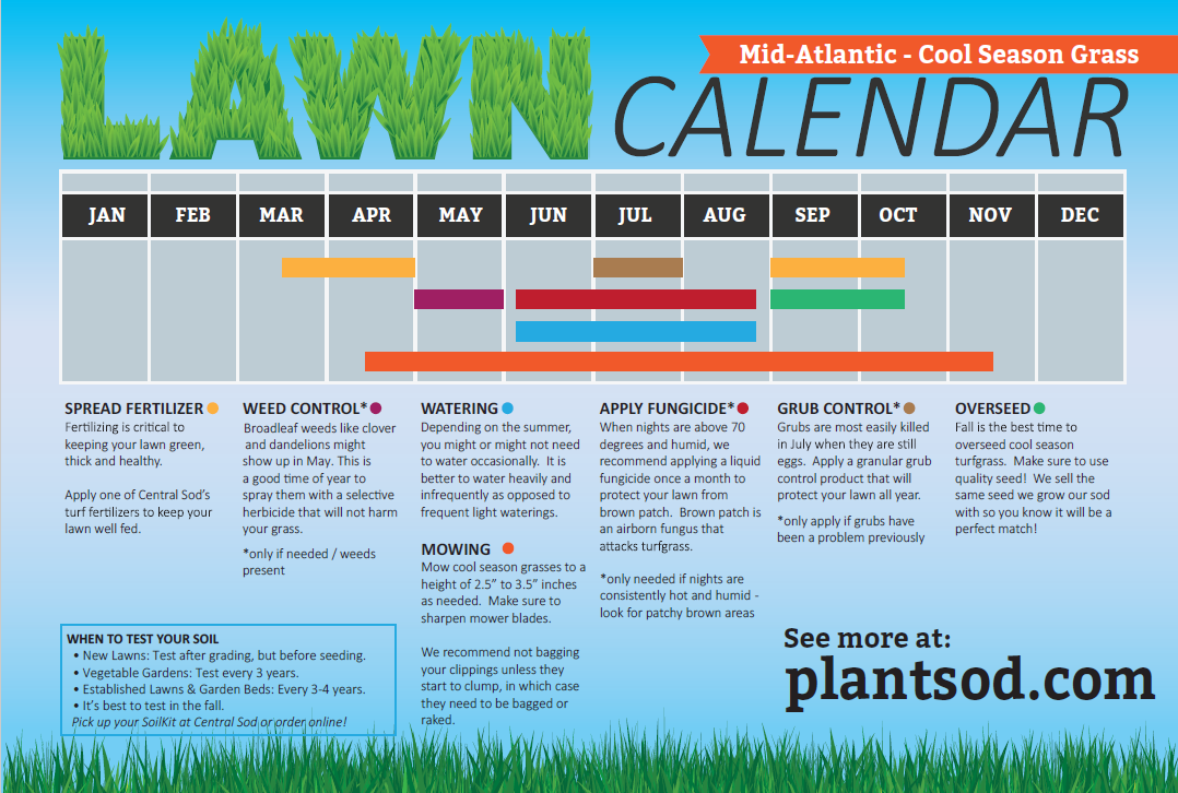 How to care for your cool season grass